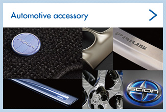 Automotive accessory